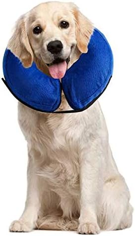 Pet barn dog cone Clearance