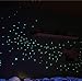 Lunar Decor Glow in The Dark Stars for Kids: 732 Self Adhesive, Glowing Star Decal for Children’s Bedrooms I Glow in The Dark Star Ceiling and Wall Stickers | 3D Glowing Dots for Nurseries, Kid Rooms