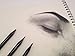 Ashleighnicolearts Artist Quality Colored Pencils with Super Long Lasting Woodless Design for Adult Coloring Drawing and Sketching (12, Graphite-Charcoal)