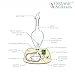 Elegance Nebulizing Essential Oil Diffuser for Aromatherapy by Organic Aromas Dark-Colored Wood Base and Glass Top