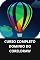 Livro CURSO COMPLETO DOMINIO DO CORELDRAW