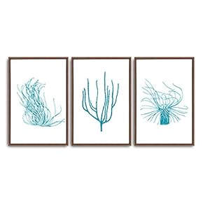 3 Piece Framed Canvas Wall Art Simple Seabed Elements Canvas Prints Home Artwork Decoration for Living Room,Bedroom - 16"x24"x3 Panels
