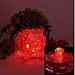 Water Pearls Gel Beads- Wedding & Event Centerpieces-Makes 6 Gallons, 8 Oz Pack Red