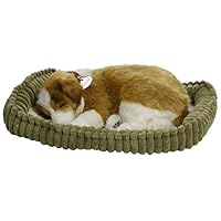 Perfect Petzzz Collie Soft Toy