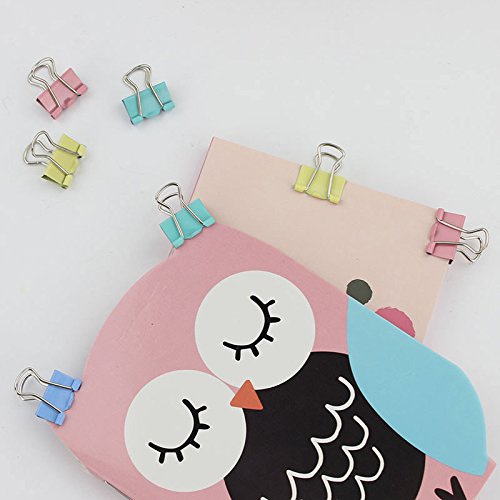 FJSM 110 Pcs Colorful Binder Clips Set 0.6-2 Inch Assorted Sizes Large Medium Mini Foldback Photo Clip Metal Organizer Binder Holder File Paper Document Clamp for Office Home Schools