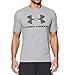 Under Armour UA Sportstyle Logo XXX-Large True Gray Heather