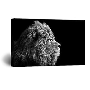 A Lion on Balck Background