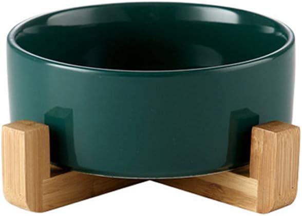 no bowl cat feeder amazon