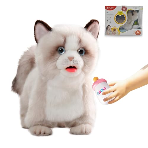 Electric Ragdoll Cat