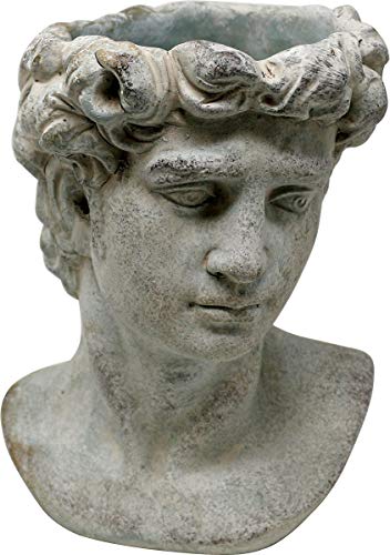 Pflanztopf Büste Adonis, Zement, grau, 27 cm, Blumentopf Kopf Antik Design Pflanzkopf