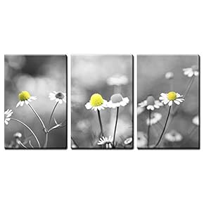 3 Panel Canvas Wall Art - Yellow Flowers Against Black and White Background - Giclee Print Gallery Wrap Modern Home Art Ready to Hang - 16"x24" x 3 Panels