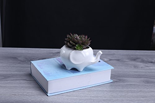 Wish you have a nice day cute elephant flower pot, mode…