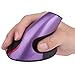 EIGIIS Wireless Ergonomic Mouse 2.4G High Precision Vertical Optical Mouse (Purple)