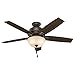 Hunter Donegan Indoor Ceiling Fan with LED Light and Pull Chain Control, 52