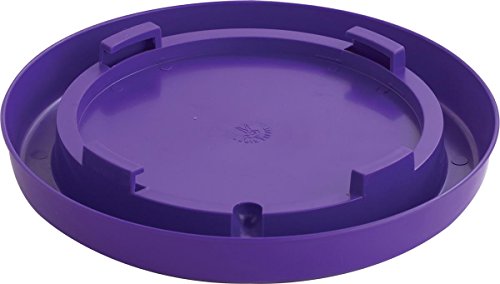 Little Giant Plastic Nesting-Style Poultry Waterer Base, 1-Gallon, Purple