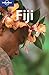 Lonely Planet Fiji (Country Guide) by Justine Vaisutis