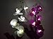 BlueStarXL Improved Made of Plastic Orchid Solar Flower, LED Solar Flower, LED Light, Outdoor Light, Solar Light, Garden Light (Purple)