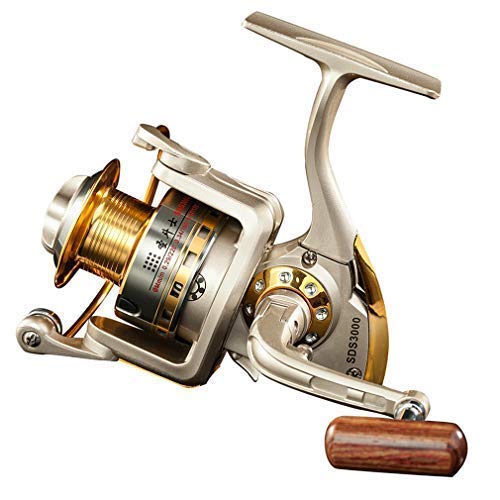 DIWA Spinning Fishing Reels for Saltwater Freshwater 1000 2000 3000 4000 5000 6000 Series Left/Right Interchangeable Trout Spinning Reel Carp Fishing Spool 10 Ball Bearings Light and Smooth