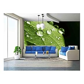 Green Leaf and Water Drops Detail - Removable Wall Mural | Self-Adhesive Large Wallpaper - 66x96 inches