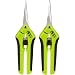 Active Gear Guy Gardening Trim Scissors for Hydroponic, Garden, and Bonsai Use. One Curved Blade and One Straight Blade. Great Tools for Precision Pruning and Trimming