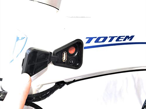 Totem Electric Bicycle 250W Commuter Series 20" Folding Bike w/Removable 36V Battery, 5 Level Pedal Assist and Pedal-Free Mode, USB Charging Port, Lightweight 44 lbs, Ships Fully Assembled - White