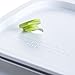 ProAid with Premium Silverware bento Box, 2 Layers Food Container, Green