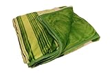 ArchAngel Micro-Plush 2ply Queen Blanket - Green Grass