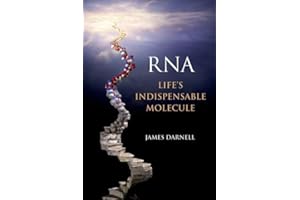 RNA: Life's Indispensable Molecule