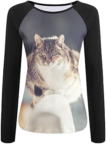 Girl House Women's T-Shirt Cat Fence Winter Baseball Shirt Long Sleeve Raglan Baseball Tee Top