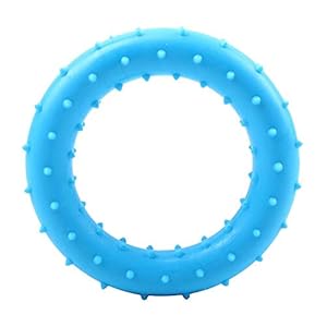 PSK PET MART Hard Rubber Ring Paw Print Flavored Chew Toy for Dogs – (Color May Vary)