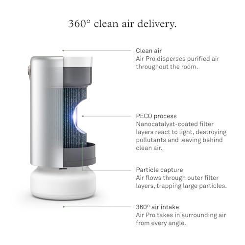 Molekule Air Pro Air Purifier - Purifies Rooms Up to 1000 Sq Ft with High Foot Traffic - FDA Cleared for Destruction of Viruses, Bacteria & Mold - Silver