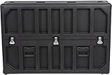 SKB Cases 3SKB-4250 Flat Screen Transport Case, Accommodates LCD and Flat Screens from 42