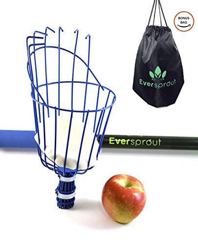 2 Eversprout+Preassembled+Lightweight+High+Grade+Extension