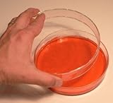 SEOH Petri Dishes Glass w/lid 150mm