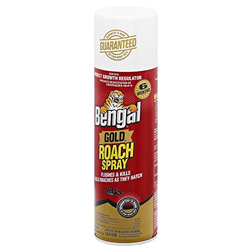 Bengal Gold Roach Spray, Odorless StainFree Dry Aerosol Killer Spray
