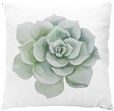 Wesbin Floral Mint Green Watercolor Succulent Cactus Plush Hidden Zipper Home Sofa Decorative Throw Pillow Cover Cushion Case Inch 20x20 Square Two Sides Design Printed Pillowcase