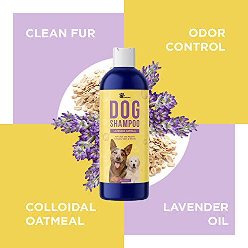 Cleansing Dog Shampoo for Smelly Dogs Refreshing Colloidal Oatmeal