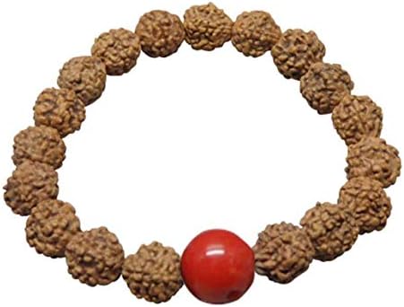 5 Mukhi Indonesia Rudraksha Bracelet with Natural Coral(Moonga) 100% Original & Certified/Five Faced Rudraksha Bracelet by Arihant Gems & Jewels