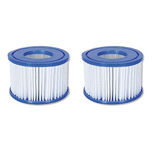 Coleman SaluSpa Swimming Pool Filter Pump Type VI Replacement Cartridge (2 Pack)