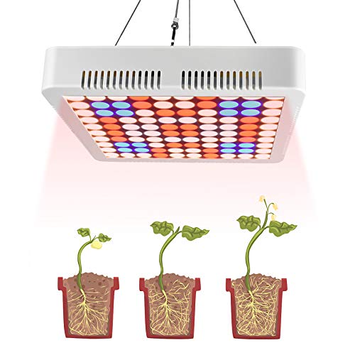 helps with indoor plants