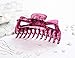 Prettyou Thick Hair Super Large Clips Crystal Plastic Claw Clamps Hairgrips Clips Accessories for Women, 2 pack. (F)