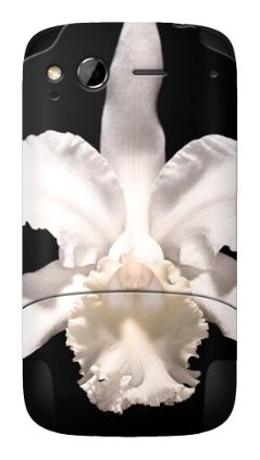 MusicSkins Kings of Leon Heartbreak Skin for HTC Desire S