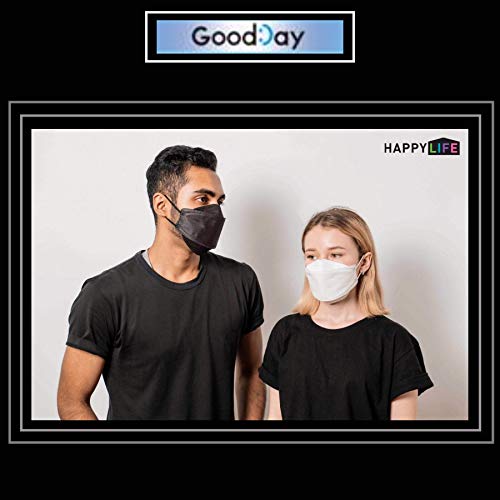 (Pack of 2) Korea Black Disposable KF94 Face Masks 4Layer Filters