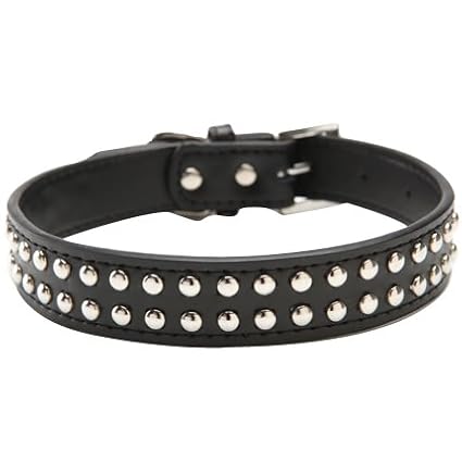 black studded collar