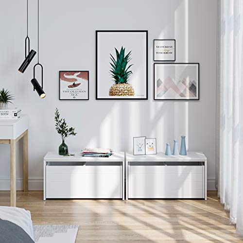 HOMECHO Kid’s Toy Chest, Wood Storage Chest Seat Bench, Modern