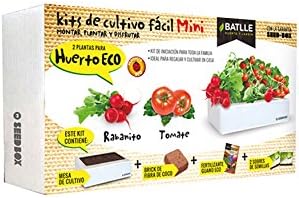 Huerto Urbano - Seed Box Mini Huerto - Batlle: Amazon.es: Jardín