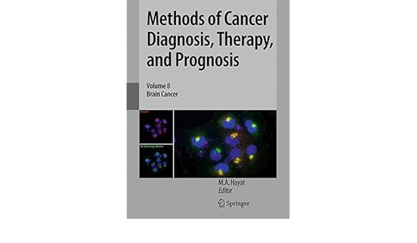 Methods Of Cancer Diagnosis Therapy And Prognosis Brain - 