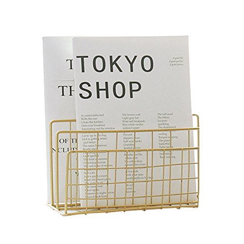 Fovolat | Nordic Style Grid Wrought Iron Newspapers and Periodicals Rack Book Magazine File Storage Rack for Home Office