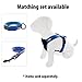 Pawtitas 6 FT Padded Dog Leash with Comfortable Neoprene Padding Handle - Blue Lead | Medium Reflective Dog Leash with Highly Reflective Band Perfect for Medium and Large Dogs and Puppies.