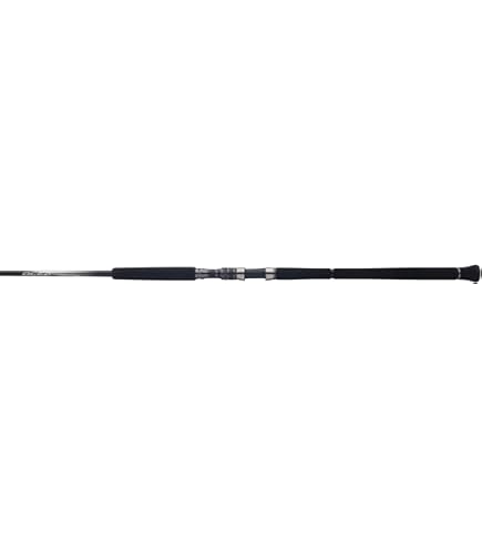 【youmii】SHIMANO STELLAOCEA PLUGGERセット Amazon.com : Shimano OCEA Plugger Big Game, Saltwater